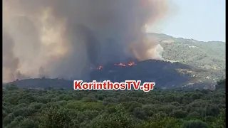 Πυρκαγιά στην περιοχή Ζήρια Αιγιαλείας