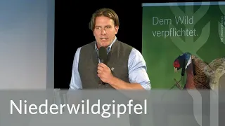 Daniel Hoffmann: Niederwild am Scheideweg – Weiter so oder neue Wege?