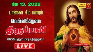 13 May 2022 Tamil Mass | Villianur Lourdes Shrine | Holy Cross Tv | Daily Tv Mass | Today Tv Mass