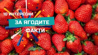 8 интересни факта за ягодите / Discover 8 Fascinating Facts About Strawberries!