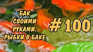 #100 Бак своими руками. Рыбки в баке. Tank DIY. Fish in the tank.