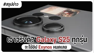 สรุปข่าว Samsung Galaxy S25 "ทุกรุ่น" ในปี 2025 จะใช้ชิป Exynos ทั้งหมด ลาก่อน Snapdragon?