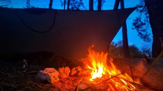 Machete Trail Clearing, Solo Tarp Overnighter, Campfire Cooking - Survival Forest Bushcraft ASMR