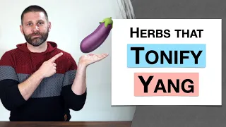 🌿 Herbology 3 Review - Herbs that Tonify Yang (Extended Live Lecture)