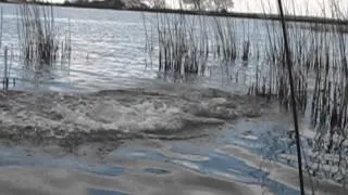 !!Amazing Lake Monster caught on tape!! Must see! 2014!