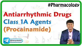 Antiarrhythmic Drugs - Class 1A agents (Procainamide)