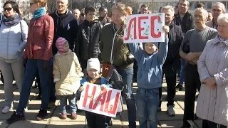 Митинг в Московском против вырубки лесов