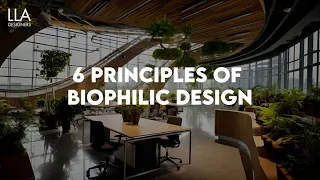 6 Principles of Biophilic Design | LLA Designers | Interior Design