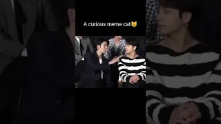 yoongi doing yoongi things 😂 curious cats😸 #bts #yoongi