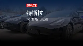 特斯拉Model 3和Model Y，揭秘那些被忽略的差别！