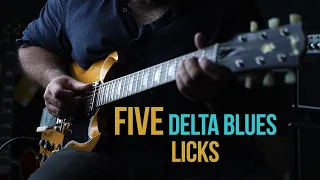 5 'Delta Blues' Licks | Delta Blues guitar Lesson