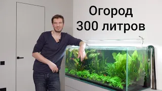 Перезапуск аквариума с живыми растениями