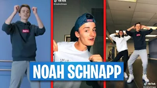 Best Of Noah Schnapp TikTok Compilation In 2020