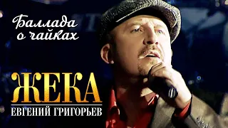 ЖЕКА - Баллада о чайках (Концерт в CДK МАИ, 2010)