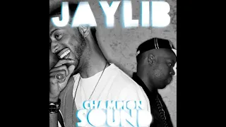 Jaylib Featuring Guilty Simpson - ******** (Instrumental)