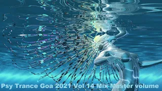 Psy Trance Goa 2021 Vol 14 Mix Master volume