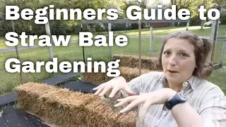 How To Start A Straw Bale Garden