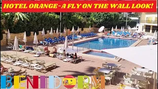 Benidorm's HOTEL ORANGE ON THE SQUARE!🏨☀️🍊Fly On The Wall Look!🥳🪩💃🏻Perfect 4 Party People! #benidorm