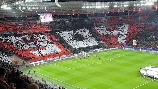 Bayer 04 Leverkusen Fans With Electric Atmosphere Vs Atletico Madrid