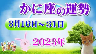 【毎日タロット後半】蟹座（かに座）3月16日~31日の運勢をリーディング⭐