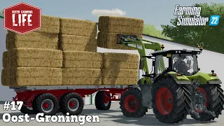 Vracht Stro Halen & Nieuwe Loods Bouwen | Oost-Groningen #17 | FS22