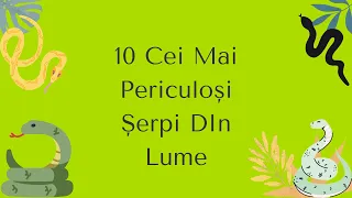 TOP 10 CEI MAI PERICULOȘI ȘERPI DIN LUME