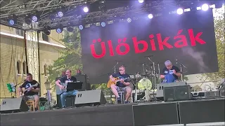 Ülő Bikák: A szerencse katonája (Deep Purple cover)