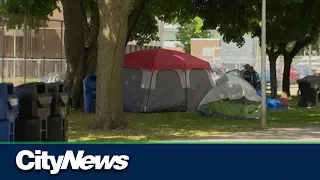 Toronto staff report 188 encampments across the city