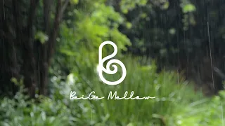 ☔Sentimental New Age Music for the Summer Rain Showers + Raindrops ASMR