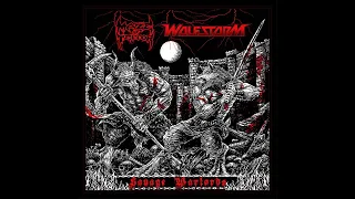 Wolfstorm / Maze of Terror SAVAGE WARLORDS Split