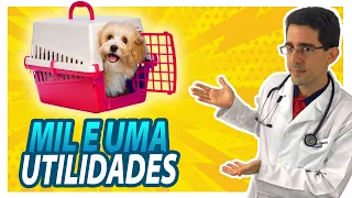 Como utilizar a caixa de transporte para auxiliar no comportamento canino