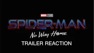 SPIDER-MAN: NO WAY HOME  OFFICIAL TEASER TRAILER REACTION/BREAKDOWN