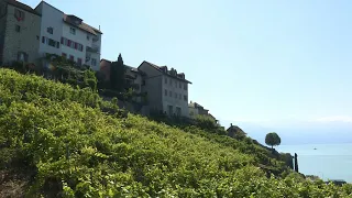 Easy to love but hard to find: Swiss Wine celebrated at Once-in-a-Generation festival | AFP