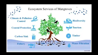 [Webinar] Restoring the Lungs of the Sea   Why Mangroves Matter