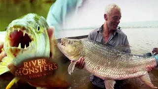 The Terrifying Tigerfish | TIGERFISH | River Monsters