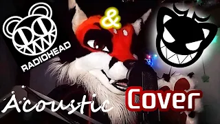 Creep - by Redrick Fox (Radiohead & Scratch21 Acoustic Cover) (Furry)