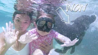 PHILIPPINES Underwater 🇵🇭 NEVER SEEN THIS BEFORE Siargao Vlog