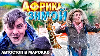 Горы Среднего Атласа / Бродяжничество в Марокко