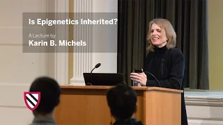 Karin B. Michels | Is Epigenetics Inherited? || Radcliffe Institute