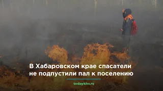 В Хабаровском крае спасатели не подпустили пал к поселению