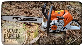 Stihl 500i, Erster Versuch 🪵🪓,Holzfällung