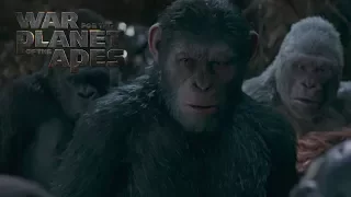 War for the Planet of the Apes | "Winner Takes All" TV Commercial | 20th Century FOX