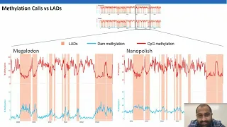 Measurement of DNA Methylation and Nuclear Organization with Nanopore Sequencing