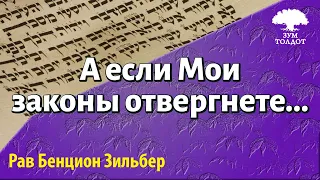 «А если Мои законы отвергнете…» Рав Бенцион Зильбер