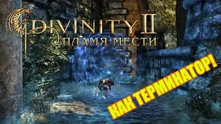 ВОЗВРАЩАЕМСЯ ЧТОБЫ МСТИТЬ! • Divinity 2: Пламя мести #1