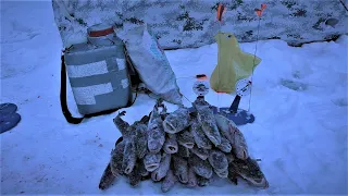 За Налимом с Ночёвкой, рыбалка на малой реке Свердловской области, 21.01.2023 - 22.01.2023.