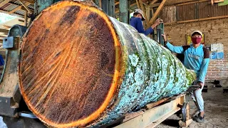 The Hardest Wood to Saw: 100-Year-Old Coconut Wood