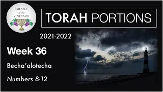 Torah Portions - Week 36 - Beha'alotecha - (The Light & Gossip/Slander) Numbers 8-12  (2021-2022)