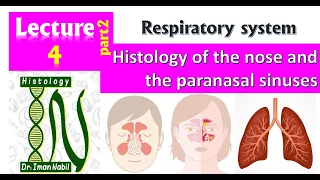 Nose,paranasal sinuses and nasopharynx-Respiratory system