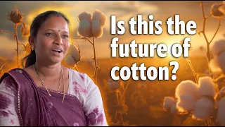 Regenerative cotton - A supply chain revolution in the making?